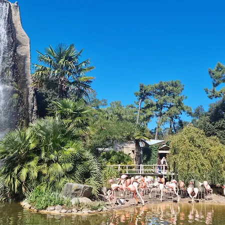 Amazing Home In Saint-Trojan-Les-Bains With Wifi *